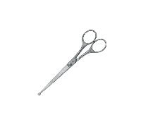 (Roseline) K.-R. Witte GmbH Co Scissor, 6.5 (165.1mm), Stainless, Top Blunt, Straight