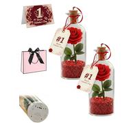 Rose Message in a Bottle, Recordable Voice Message with Playback Cork, Romantic Love Keepsake Decor, Valentine Rose Voice Recording Gift for Her Him, Personalized Sound Keepsake(Red 2Pcs)