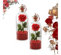 Rose Message in a Bottle, Valentine's Day Rose Message Bottle,Rosy Decor with Voice Recording,Romantic Valentine Keepsake Decor for Her Him Gift (C 2 PCS)