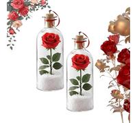 Rose Message in a Bottle, Valentine's Day Rose Message Bottle,Rosy Decor with Voice Recording,Romantic Valentine Keepsake Decor for Her Him Gift (B 2 PCS)