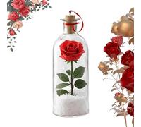 Rose Message in a Bottle, Valentine's Day Rose Message Bottle,Rosy Decor with Voice Recording,Romantic Valentine Keepsake Decor for Her Him Gift (B 1 PCS)