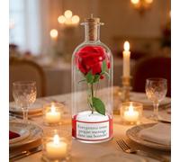 Rose Message in a Bottle,Valentine's Day Rosy Voice Recording Message Glass Bottle with Playback Cork,Holiday Romantic Love Keepsake Decor,Gifts for Valentine’s Day Anniversary Holidays