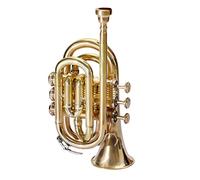 ROSE MUSICALS Pocket Trumpet Brass Color Bb Pitch With Free Hard Case And Mouthpiece