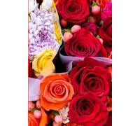 ROSE&PAPER Fine Writing Journal - Rose No. 10, 2026 Collection - for Women, Writers, Students & Rose Lovers: College-Ruled Notebook, 6x9 in (15.24 x ... Hot-Pink Margins - Romantic Floral Cover