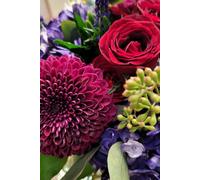 ROSE&PAPER Fine Writing Journal - Rose No. 25, 2026 Collection - for Women, Writers, Students & Rose Lovers: College-Ruled Notebook, 6x9 in (15.24 x ... Hot-Pink Margins - Romantic Floral Cover