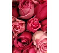 ROSE&PAPER Fine Writing Journal - Rose No. 3, 2026 Collection - for Women, Writers, Students & Rose Lovers: College-Ruled Notebook, 6x9 in (15.24 x ... Hot-Pink Margins - Romantic Floral Cover