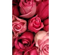 ROSE&PAPER Fine Writing Journal - Rose No. 3, 2026 Collection - for Women, Writers, Students & Rose Lovers: College-Ruled Notebook, 6x9 in (15.24 x ... Hot-Pink Margins - Romantic Floral Cover