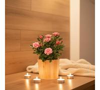 Rose Plant - Pink Houseplant in Rustic Ceramic Pot Included | Luxe Leaf Plants - Indoor Floral Décor