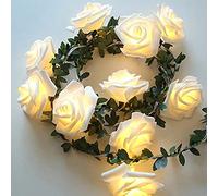 Rose String Light with Green Leaves, Runaup 3M/9.81ft 20LED Warm White Rattan Flowers Fairy Lights, Battery Powered Decorative Lights for Birthday Party Wedding Festival