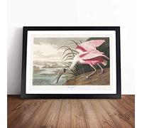 Roseate Spoonbill by John James Audubon - | Framed Wall Art Print | Modern Home Decor Picture | Ready to Hang Artwork for Living Room, Bedroom, Kitchen or Office | Multiple Sizes