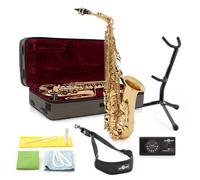 Rosedale Professional Alto Saxophone Complete Pack by Gear4music