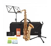Rosedale Professional Tenor Saxophone Complete Pack by Gear4music