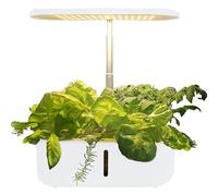 RoseFlower 10 Pods Smart Hydroponics Growing System Indoor Garden Planter, 14.2'' Height Adjustable Herb Garden with LED Grow Lights, Countertop Hydroponic Plant Growing System with 3.6L water tank