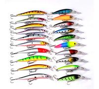 RoseFlower 20 Pieces Fishing Lure Kits Mixed Universal Artificial Soft Bait Sets Including Spinning Lures, Plastic Worms, Frogs, Single Hooks, Tackle Box - Freshwater Saltwater Fishing Equipment