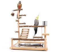 RoseFlower Wooden Bird Playground, Parrot Playstand with Perches, Ladder, Swing, Feeder Cups, Tray for Conure, Parakeets, Budgie, Cockatiels, Lovebirds