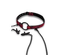 Rosegasm Open Mouth Gag with Nipple Clips