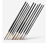 Rosemary & Co : Oil and Acrylic Brush : Set of 10