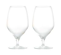 Rosendahl Premium beer glass 60 cl 2 pack Clear