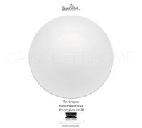 Rosenthal - Tac Gropius - Dinner Plate Cm 28 - Retailer