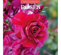 Roses - 2026 Square Wall Calendar - by Red Robin Publishing