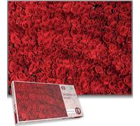 Roses Are Red: The Ultimate Impossible 1000 Piece Jigsaw Puzzle - A Hilariously Challenging Valentine's Day Gift for Expert Puzzle Lovers!