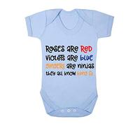 Roses are Red Violets are Blue Gingers are Ninjas Poem Statement Baby Grow Vest, 6-12 Months, Pastel Blue