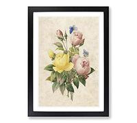 Roses & Butterflies by Pierre-Joseph Redoute Framed Print | A2 Black Framed Wall Art | Ready to Hang | Modern Nature Picture | Living Room Bedroom Lounge Office