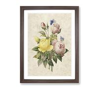 Roses & Butterflies By Pierre Joseph Redoute Vintage Framed Print | A4 Walnut Framed Wall Art | Ready to Hang | Classic Nature Picture | Living Room Bedroom Lounge Office