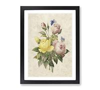 Roses & Butterflies By Pierre Joseph Redoute Vintage Framed Wall Art Print, Ready to Hang Picture for Living Room Bedroom Home Office Décor, Black A2 (64 x 46 cm)