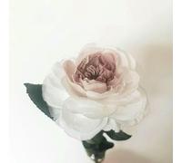 Roses Flower Bouquet Desk Home Decors Fleurs Sechees Room Decorator Arredamento Decoracao Para Casa-Brown And White Edge-10 Pcs Normal Austin
