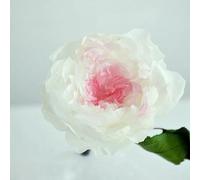 Roses Flower Bouquet Desk Home Decors Fleurs Sechees Room Decorator Arredamento Decoracao Para Casa-Pink And White Edge-10 Pcs Normal Austin