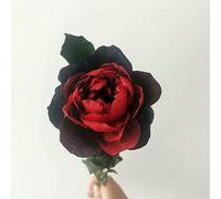 Roses Flower Bouquet Desk Home Decors Fleurs Sechees Room Decorator Arredamento Decoracao Para Casa-Red And Black Edge-10 Pcs BlossomAustin
