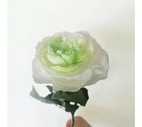 Roses Flower Bouquet Desk Home Decors Fleurs Sechees Room Decorator Arredamento Decoracao Para Casa-Green And White Edge-10 Pcs BlossomAustin