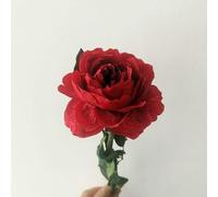 Roses Flower Bouquet Desk Home Decors Fleurs Sechees Room Decorator Arredamento Decoracao Para Casa-Red-10 Pcs BlossomAustin