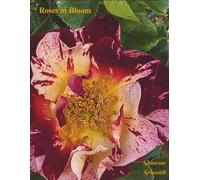 Roses in Bloom: Coffee Table Book