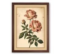 Roses in Full Bloom Botanical Framed Wall Art Print A1 (84.1×59.4cm) Walnut, Wall Decor for Living Room, Bedroom, Office & Home, Ready to Hang, Art Gift