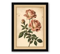 Roses in Full Bloom Botanical Framed Wall Art Print A3 (42×29.7cm) Black, Wall Decor for Living Room, Bedroom, Office & Home, Ready to Hang, Art Gift