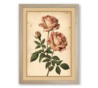 Roses in Full Bloom Botanical Framed Wall Art Print A3 (42×29.7cm) Oak, Wall Decor for Living Room, Bedroom, Office & Home, Ready to Hang, Art Gift