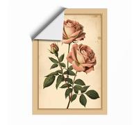 Roses in Full Bloom Botanical Unframed Wall Art Print A1 (84.1×59.4cm), Wall Decor for Living Room, Bedroom, Office & Home, Art Gift