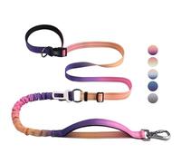 Roses&Poetry Hands Free Dog Leash Heavy Duty,No Pull Bungee Dog Running Waist Leash for Walking Training with Car Seatbelt 4-6FT