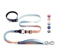 Roses&Poetry Hands Free Dog Leash Heavy Duty,No Pull Bungee Dog Running Waist Leash for Walking Training with Car Seatbelt 4-6FT