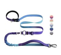 Roses&Poetry Hands Free Dog Leash Heavy Duty,No Pull Bungee Dog Running Waist Leash for Walking Training with Car Seatbelt 4-6FT