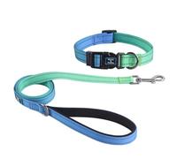 Roses&Poetry Large Dog Collar and Lead Set BlueGreen, Puppy Reflective Leashes with Collars, Adjustable Durable Matching Collar Leash for Small Dogs Girl (BlueGreen-L)