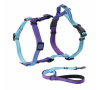 Roses&Poetry Puppy Dog Harness and Leash Set, XS, Violet, Elegant Solid Violet, Customizable Fit, Reflective, Multi-functional, No Pull, Adjustable, Training, Outdoor Walking