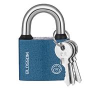 RosewineC Heavy Duty Padlock, Iron Padlock with 3 Keys, Weatherproof Security Lock for Outdoor Use, Shed, Warehouse, Fence, Office (50 MM)