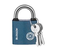RosewineC Heavy Duty Padlock - Iron Padlock with 3 Keys, Weatherproof Security Lock for Shed, Warehouse, Fence, Office (32 MM)