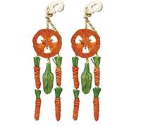 Rosewood Boredom Breaker Carrot Dream Catcher for Small Animals, clear (Pack of 2)