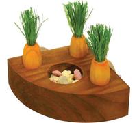 Rosewood Carrot Toy n Treat Holder