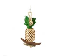 Rosewood Boredom Breaker Pineapple Lantern Bird Toy - One Size