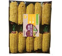 Rosewood Boredom Breaker Sun-Ripened Corn Small Animal Treats 100g